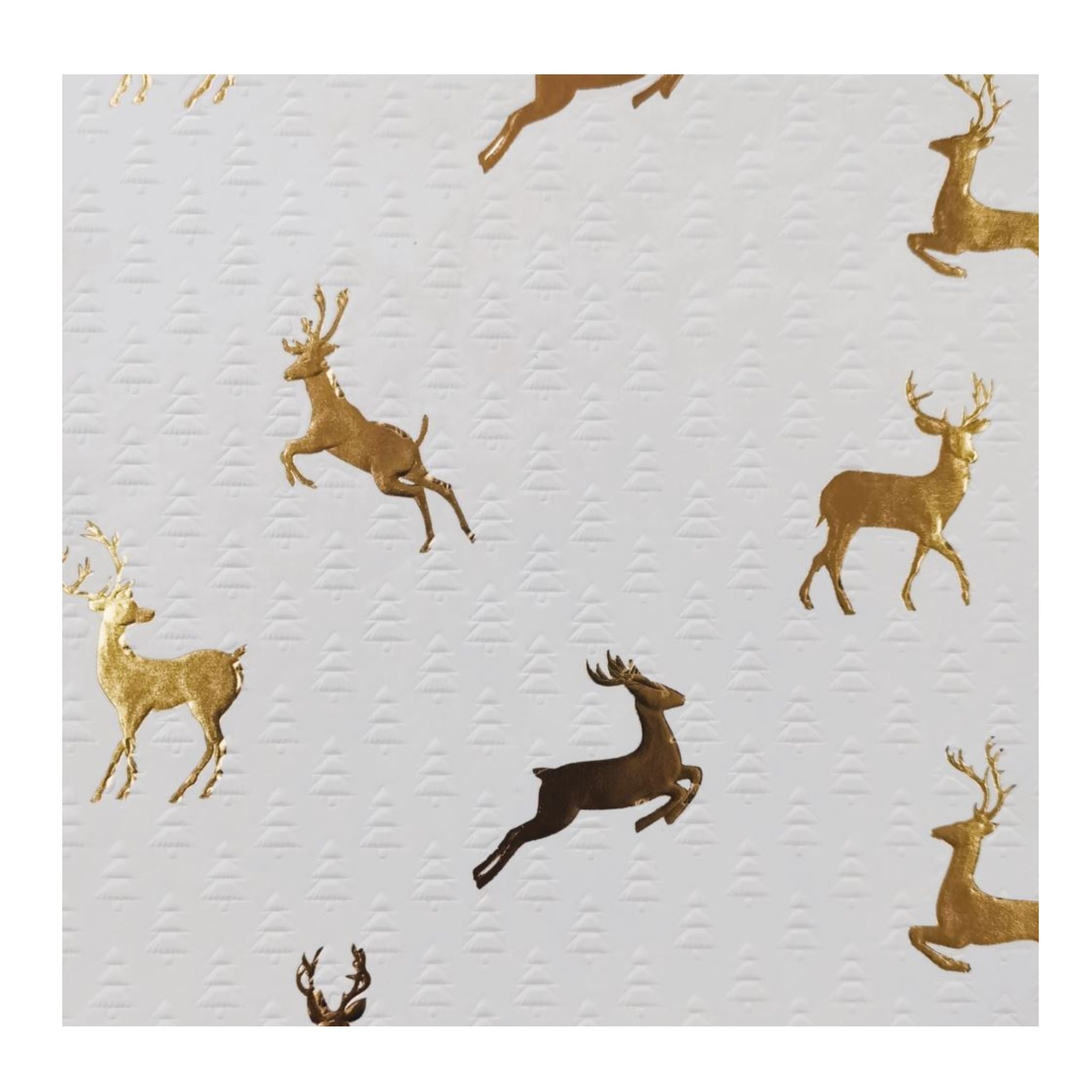 Wrapping Paper - Merry Xmas Reindeer