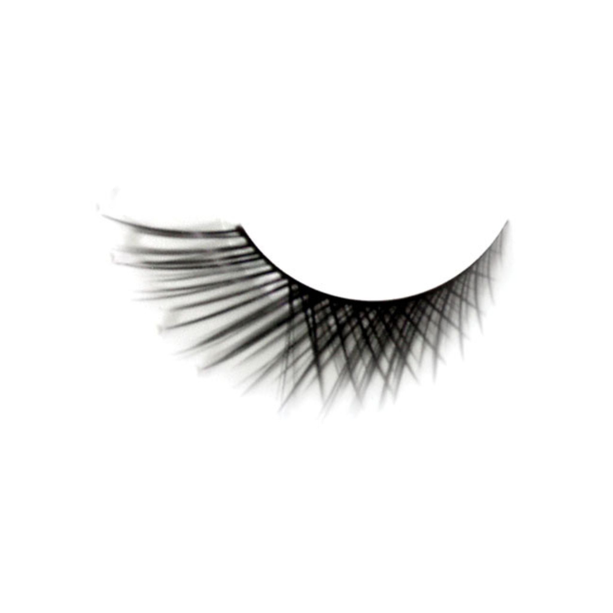 The Beauty Case Eyelashes Fashion - G