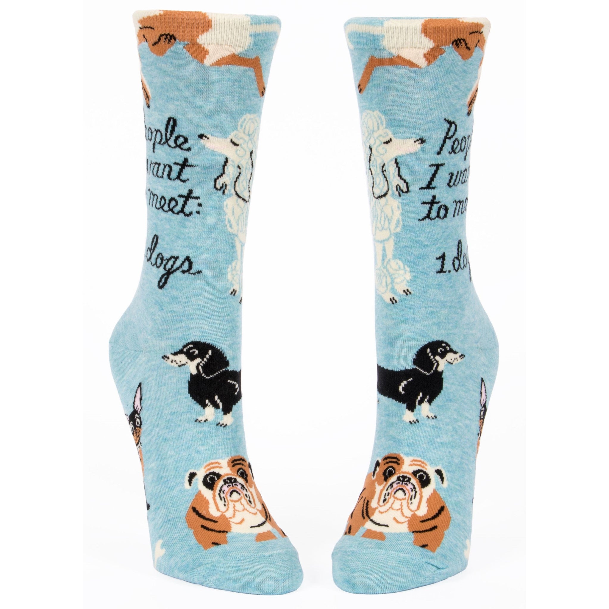 Socks - People to Meet: Dogs