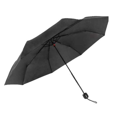 Manual Open Umbrella 21'' - Black